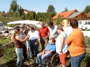 Pflanzenerklärung