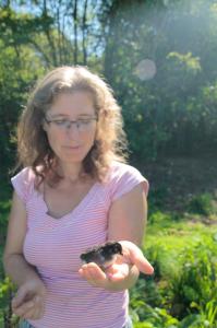 Heuer haben uns unsere Hennen mit vielen Küken aus versteckter Wildbrut überrascht!