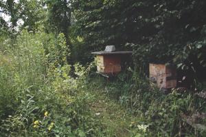 Garten Weden Interview 2