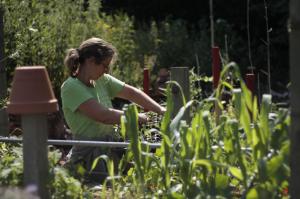 Garten Weden Interview 4