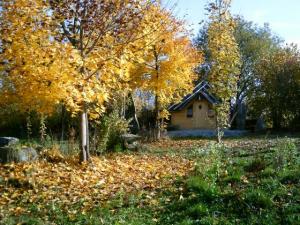 goldener Oktober Druidenhaus