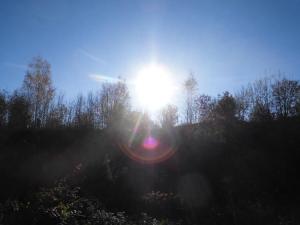 Herbstsonne