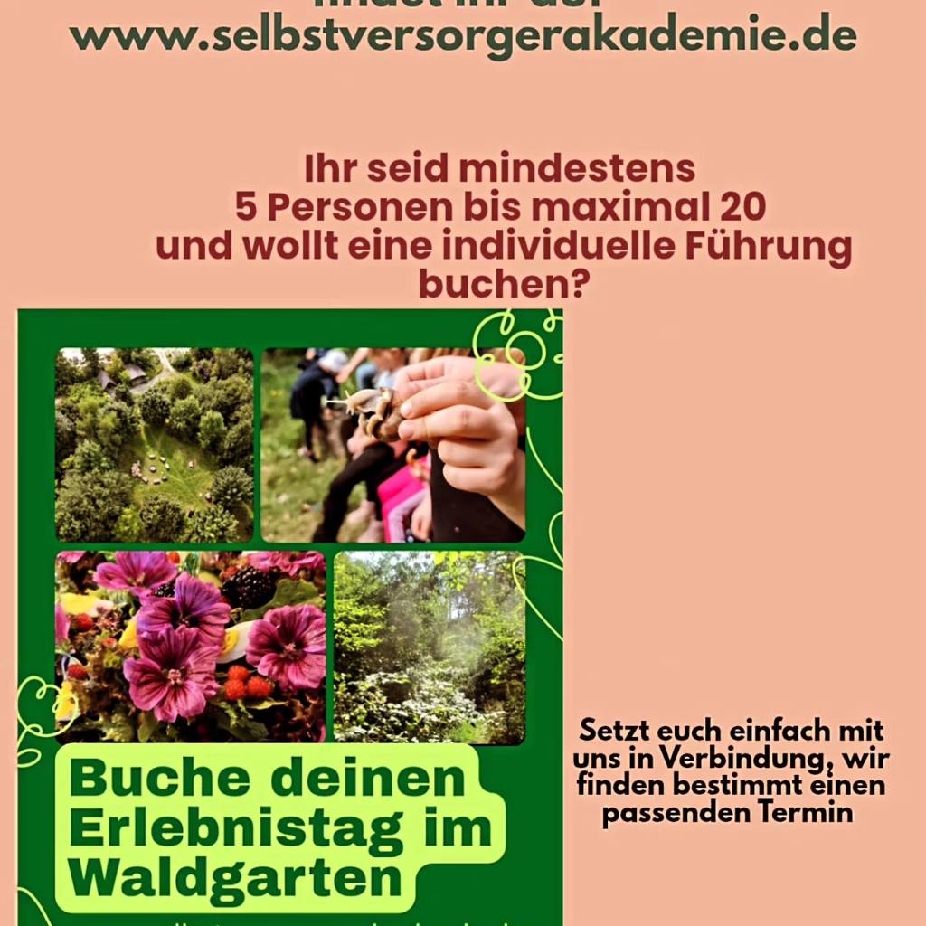 Werbetafel für einen Erlebnistag im Waldgarten, mit Bildern von Natur, Gruppenaktivitäten und Pflanzen. Der Text fordert zur Buchung einer individuellen Führung auf.