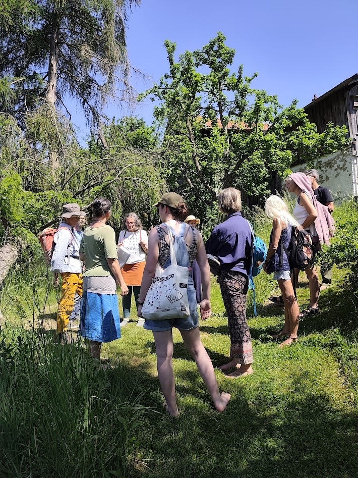 Gruppendiskussion im Freien, umgeben von Bäumen und Gras, bei sonnigem Wetter.