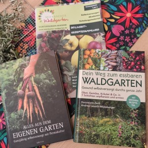Bücher Bundle im Sommer special